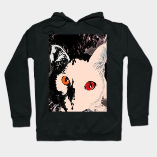 gato blanco Hoodie